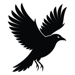 Black silhouette of a bird with wings spread in flight on a white background flying