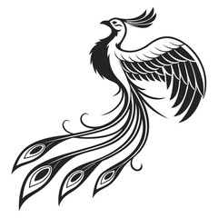 black and white rooster