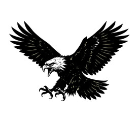 Majestic Eagle in Flight with Outstretched Wings on White Background