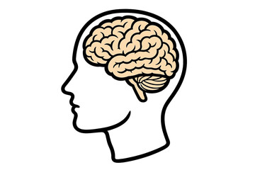 Human head profile silhouette with brain. Symbol of intelligence, mind, thought, knowledge, psychology, and mental health. Anatomy of thinking. Brainstorming and idea concept.