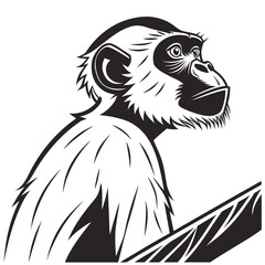 black and white illustration of a lion