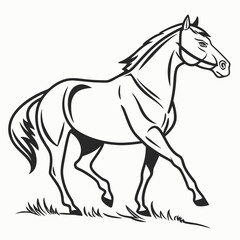 horse vector illustration
