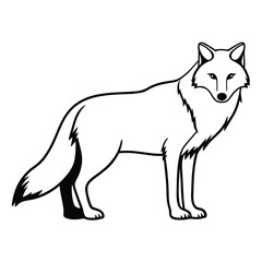 wolf vector illustration