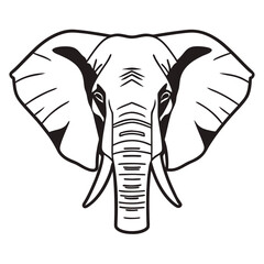 elephant vector illustration