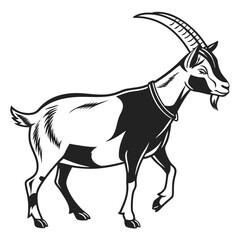 goat on a white background