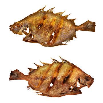 Top-down photo of deep-fried Baronang fish (Siganus canaliculatus) isolated on transparent background. Baronang fish is a marine fish, a common dish in Indonesia that often served deep fried