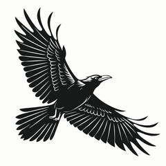 Fototapeta premium Black silhouette of a raven in flight with wings spread wide crow bird