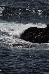 Waves splashing against a rock on Vancouver Island, British Columbia, Canada.