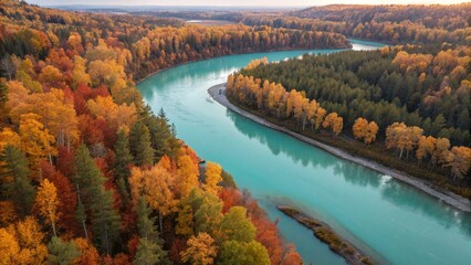 Aerial view of a winding turquoise river cutting through golden autumn forest