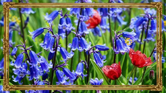 Elaborate Floral Beltane Celebration Decorative Edge Featuring Springtime Wild Blooms Including Bluebells, Apple Blossoms, Red Campion, and Buttercups with Gilded Outline on Azure Backdrop
