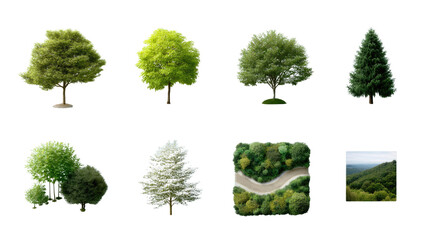 Fototapeta premium Verdant Visions: Collection of trees showcase various shapes, shades and types of trees