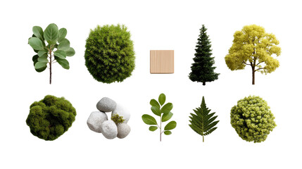 Botanical elements collection: An illustrative collection of diverse botanical elements arranged in a visually appealing way, suitable for decorative purposes or digital compositions.