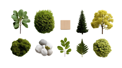 Botanical elements collection: An illustrative collection of diverse botanical elements arranged in a visually appealing way, suitable for decorative purposes or digital compositions.