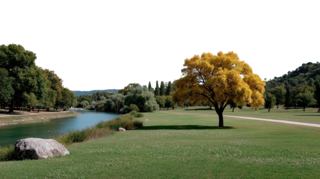Golden Tree by the Lakeside: a beautiful landscape, with a vibrant golden tree standing tall against a backdrop of green grass, lush trees, calm lake.