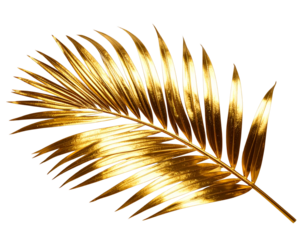 Curved Metallic Gold Palm Leaf with Shadow Depth, Angled Side View, Isolated