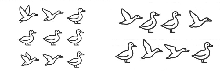Obraz premium Duck icons in different poses