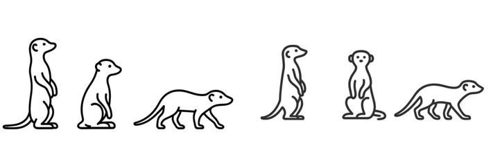 Fototapeta premium Meerkat poses and movements