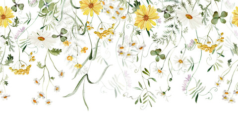 Seamless border. Watercolor colorful wildflower floral flower forest meadow clipart green herbs leaves. Wedding invitation, fashion, background, textile. Fern, shamroock, chamomile, ivy, strawberry.