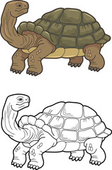 Elephant tortoise, outline illustration, coloring page
