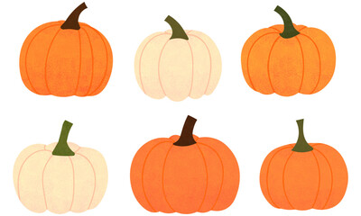 Pumpkin vector set illustration in orange and white colors, autumn harvest collection, fall season decoration, Halloween clipart, Thanksgiving design element for seasonal background and holiday decor