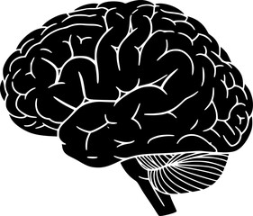 Human brain side view Isolated vector illustration. brain doodle