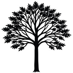 Fototapeta premium Silhouette of a Leafy Tree with Spreading Branches on White abstract black