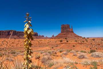 Stagecoach Formations in Monument Valley Scenic Landscape