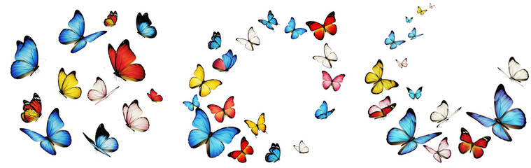 Set of Colorful butterflies flying on a white or transparent background