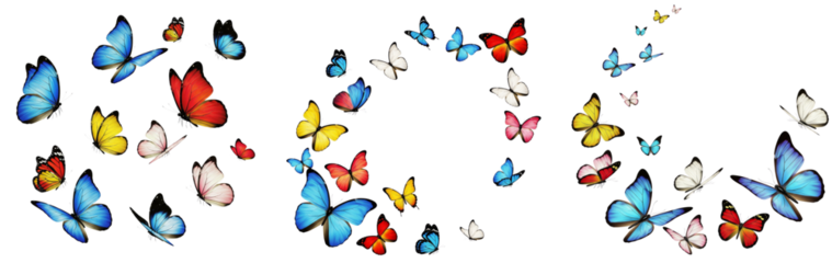 Set of Colorful butterflies flying on a white or transparent background