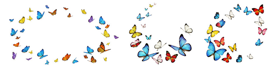 Naklejka premium Set of Colorful butterflies flying on a white or transparent background