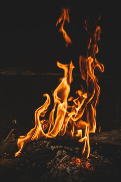 Bright orange flames rising from a wood vine barbecue fire, glowing and crackling with natural warmth
