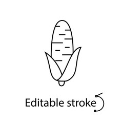 Corn outline icon. Mexican and Indian kitchen. Healthy eating and diet. Vector stock illustration