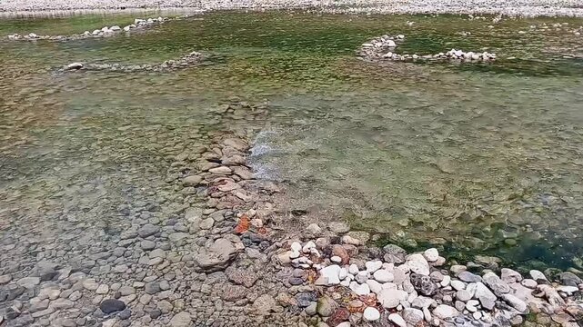 a stretch of river with clear water flowing far away, showing the rocks at the bottom quite clearly and repeatedly the water appears to separate and rejoin due to the spread of river rocks.
