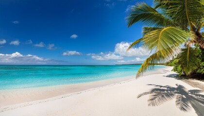 Obraz premium idyllic tropical beach with palm trees white sand turquoise water sunny sky and distant shoreline