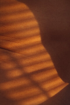 Close-up of mixed-race female skin with soft sunset light and striped shadows from window blinds, creating a warm and artistic atmosphere