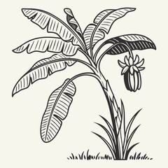vector illustration of a plant