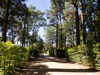 Fototapeta premium Jardines del Palacio Real de La Granja de San Ildefonso, La Granja de San Ildefonso, Segovia, Castilla y León, España