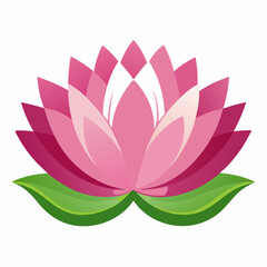 Pink Lotus Flower Illustration