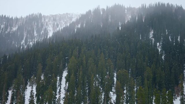 4K shot of Himalayan mountain peak with Pine trees on top during a winter storm in winter season as seen from Aru Valley in Pahalgam, Jammu and Kashmir, India. Scenic view of mountains in winter.