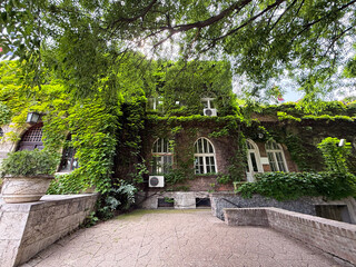 Historic ivy covered building with multiple windows and green surroundings. Urban architecture combined with natural adaptation and sustainability concept.