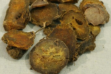 Atractylodes lancea, called Bongchul in Korea, dried rhizome used in herbal medicine to move qi,...