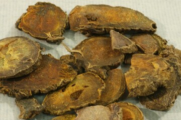 Atractylodes lancea, called Bongchul in Korea, dried rhizome used in herbal medicine to move qi,...