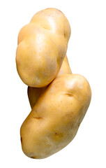 Three tubers of potatoes in pile isolated with clipping path in png file format