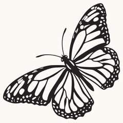 butterfly Silhouette 