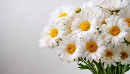 Obraz premium bright bouquet of fresh white daisies with yellow centers against a light background evoking freshness and natural beauty