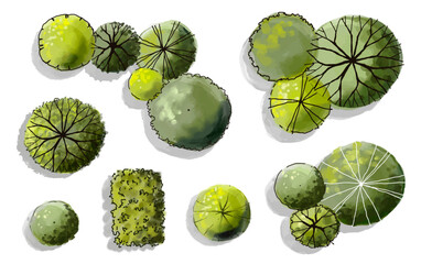 Naklejka na ściany i meble Vector set of Top view green tree for outdoor plan or map and architecture drawing, elements for environment and garden ,botanical elements ,Blooming flowers in spring,tropical plants element