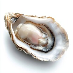 an opened oyster with a pearl, elegant marine theme, digital painting, delicate details, isolated on white background