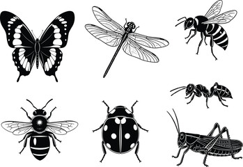 PrintDetailed black and white vector illustration of various insects including butterfly, dragonfly, bee, ladybug, ant, and grasshopper.