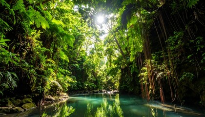 Obraz premium Lush tropical gorge with crystal-clear water