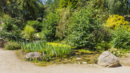 Fototapete bei efototapeten.de bestellen   